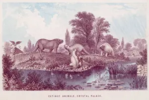 Hawkins Prints: CRYSTAL PALACE ANIMALS