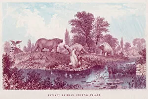 1854 Collection: Crystal Palace Animals
