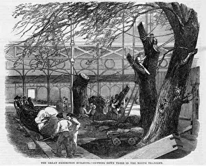 Transept Prints: CRYSTAL PALACE / BUILDING
