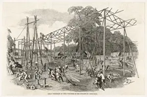 Crystal Palace Construct