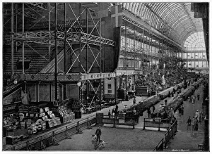 Tragically Prints: Crystal Palace Dog Show