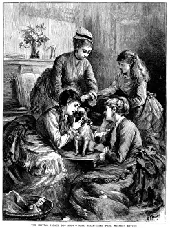 Crystal Palace dog show