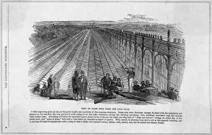 Immense Prints: CRYSTAL PALACE ROOF