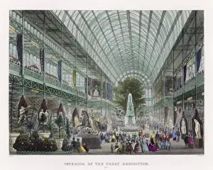 Crystal Palace /s Trans