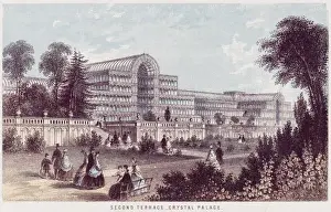 Crystal Palace Terrace