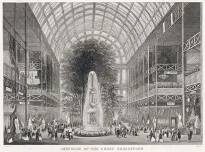 Crystal Palace / Transept