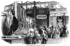 Crystal Palace Visitors