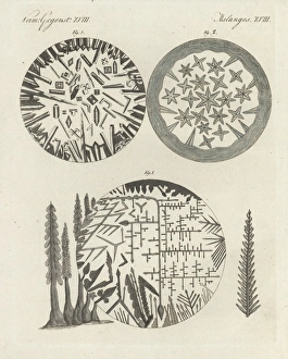 Crystals of silver solution and Dianas tree Crystals of silver solution and Dianas tree