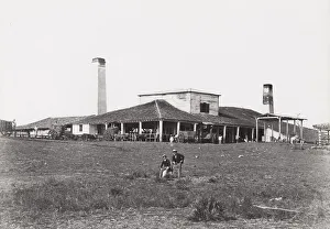 Cuba: crushing mill on a sugar plantation