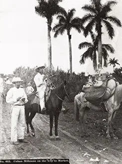 Cuba: Cuban milkman on the way to market