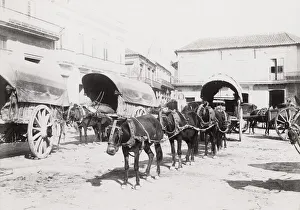 Cuba: horses and carts, Havana