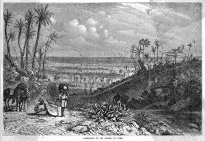 Cuba Landscape
