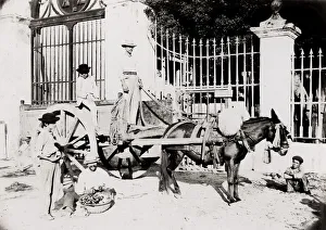 Cuba: mule cart and rvier