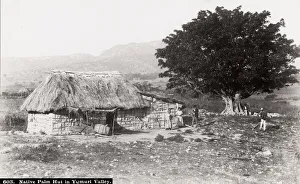 Cuba: Native palm hut in Yumuri Valley