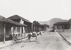 Cuba: street in El Caney, horse and cart