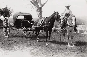 Cuba: volante, horse and carriage