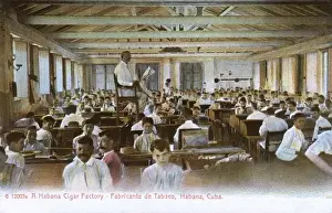 Benches Prints: Cuban Cigar Factory interior - Havana, Cuba