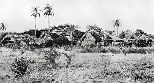 Insurgents Prints: Cuban War of Independence (1895-1898)