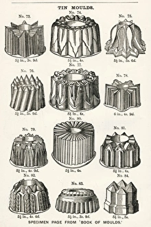 Images Dated 27th September 2017: Culinary moulds in tin 1887