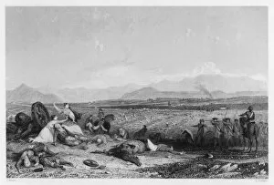Battle Field Gallery: Culloden Battlefield
