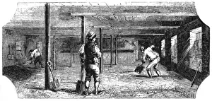 Brewers Prints: Cultivation of beer