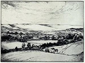 Warner Prints: Cultivation Paddock