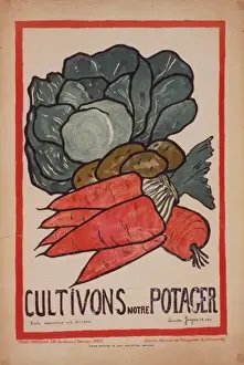 Cultivons notre potager