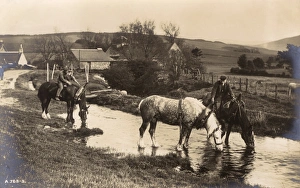 Images Dated 28th July 2011: Cumbrian Rural Scene