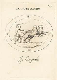 Cupid driving a chariot of Bacchus