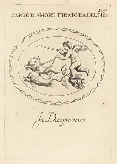 Dolphins Prints: Cupid driving a chariot drawn by dolphins