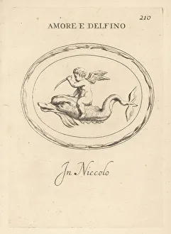 Nicolo Prints: Cupid riding a dolphin, the sacred animal of Venus