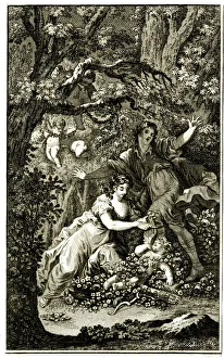 Removing Gallery: Cupid robbed of his Pinions