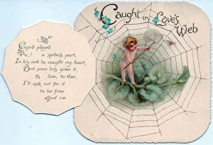 Images Dated 6th July 2018: Cupid and spiders web on a Valentine card