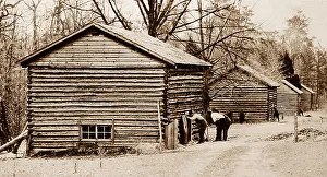 Curing barns at a tobacco plantation, Virginia, USA
