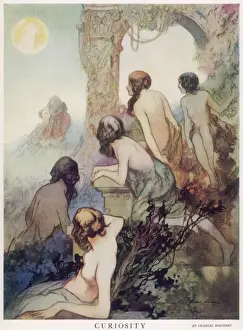 Curiosity