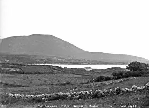 Achill Gallery: The Curraun from Achill Island