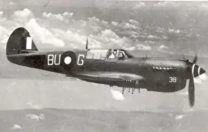 Curtiss Kittyhawk of the Australian Air Force