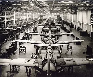 Helldiver Prints: Curtiss Model 84 Helldiver production