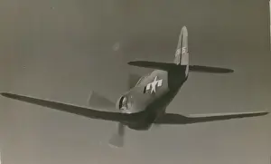 Curtiss Prints: Curtiss Model 95 XP-60E, 42-79425