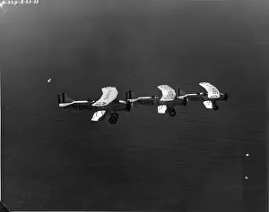 Falcons Prints: Three Curtiss OC-2 Falcons of the US Marine Corps