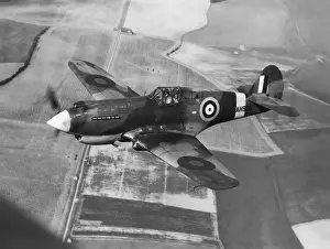 Curtiss P-40 Warhawk
