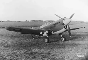 Curtiss P-40 Warhawk