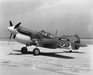 Curtiss P-40 Warhawk
