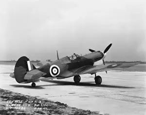 Curtiss P-40 Warhawk