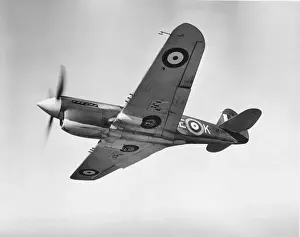 Curtiss P-40 Warhawk