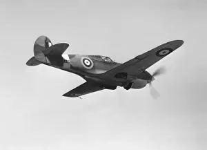 Curtiss P-40 Warhawk