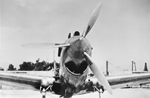 Curtiss P-40 Warhawk