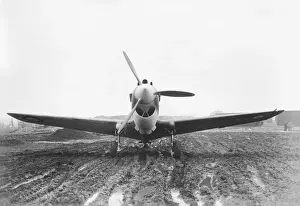 Curtiss P-40 Warhawk