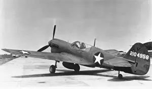 Curtiss P-40 Warhawk