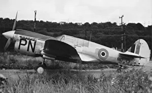 Curtiss P-40 Warhawk